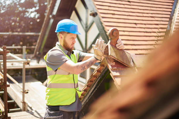 Roof Gutter Cleaning in South Congaree, SC