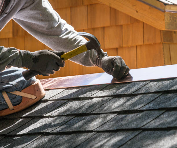Gutter Installation and Roofing in South Congaree, SC